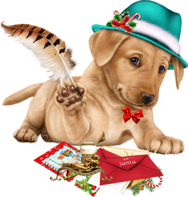 Navidad LES
